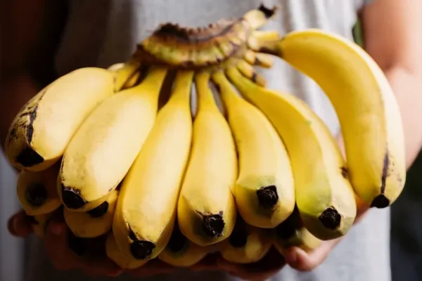 “Bananas” and their good health benefits, relieve gastrointestinal diseases, nourish the body